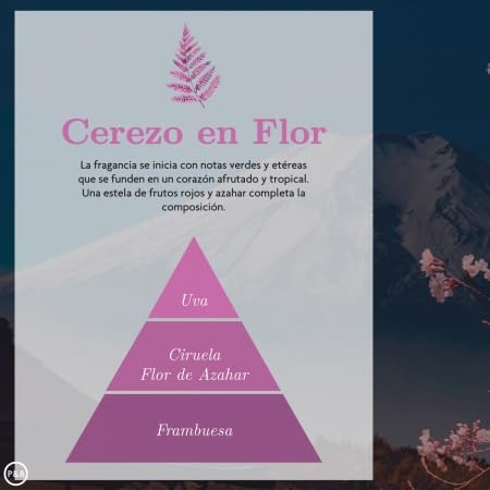 Pack de Aromatización Cerezo en flor Frambuesa, Ciruela, Flor de Azahar y Uva- Spray 225ml,Esencia Humidificador 50ml y – imagen 6