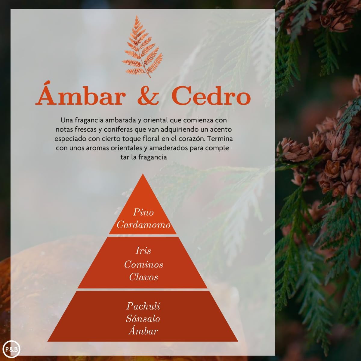 Pack de Aromatización Ámbar y Cedro - Spray 225ml x2,Esencia Humidificador 50ml y Mikado 40ml | Fragancia Cardamomo para el Hogar Aromaterapia