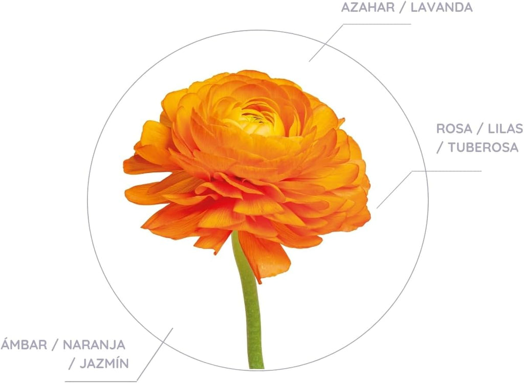 Don Algodón Ambientador de Armario Flor de Azahar Pack 6 uds