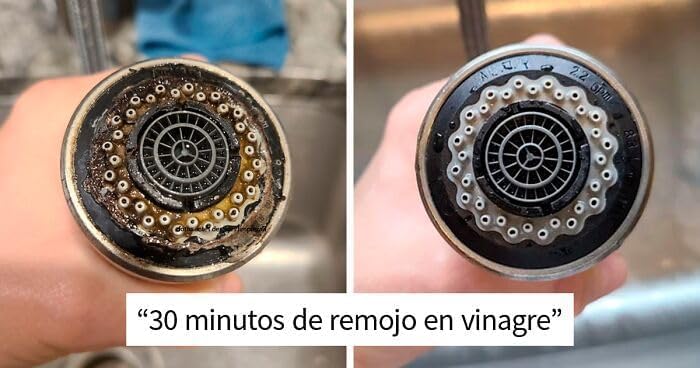 Disiclin Vinagre de Limpieza concentrado Multiusos 1L – Pack de 4