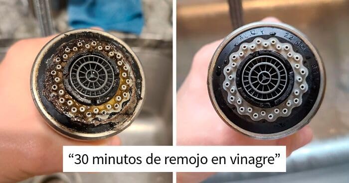 Disiclin Vinagre de Limpieza con detergente Aroma Manzana 1L – Pack de 4 Botellas