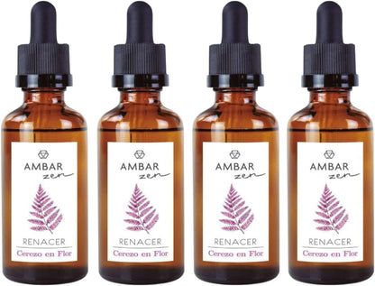 AMBAR ZEN Aceites Esenciales para Humidificador · Pack 4 x 50 ml Cerezo en Flor · Aceite Aromático Natural · Aromaterapia para Difusor, Mikado