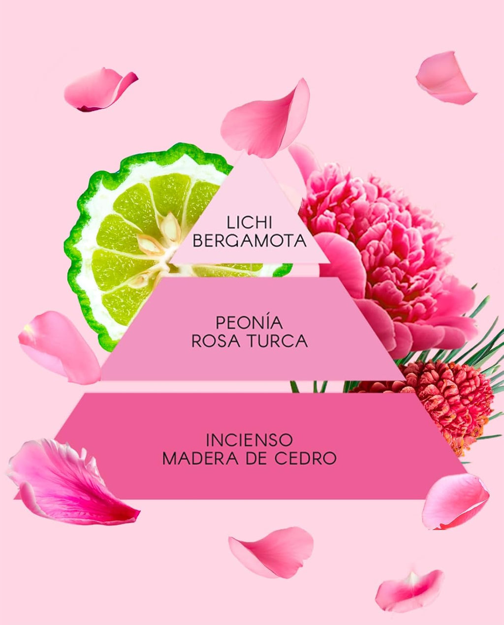 Set La Vie en Rose Don Algodón Mujer Mini Incluye la fragancia La Vie en Rose 30 ml, iluminador, crema de manos perfumada y un encantador neceser de borreguito.