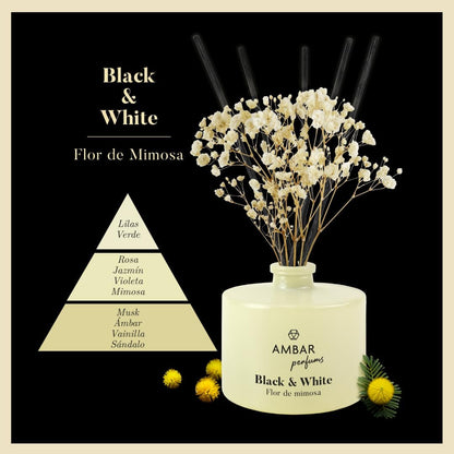 Ámbar Perfums Ambientador Mikado Black & White Flor de Mimosa – Difusor de Varillas Decorativo con Aroma Floral y Elegante, Duración +45 Días – Pack de 4 x 40 ml