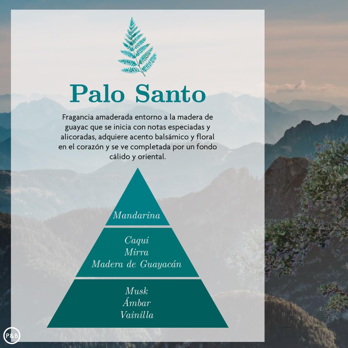 Palo Santo Aromatization Pack - Spray 225ml x2, Humidifier Essence 50ml and Mikado 40ml | Fragrance musk of Amber Perfums for Home