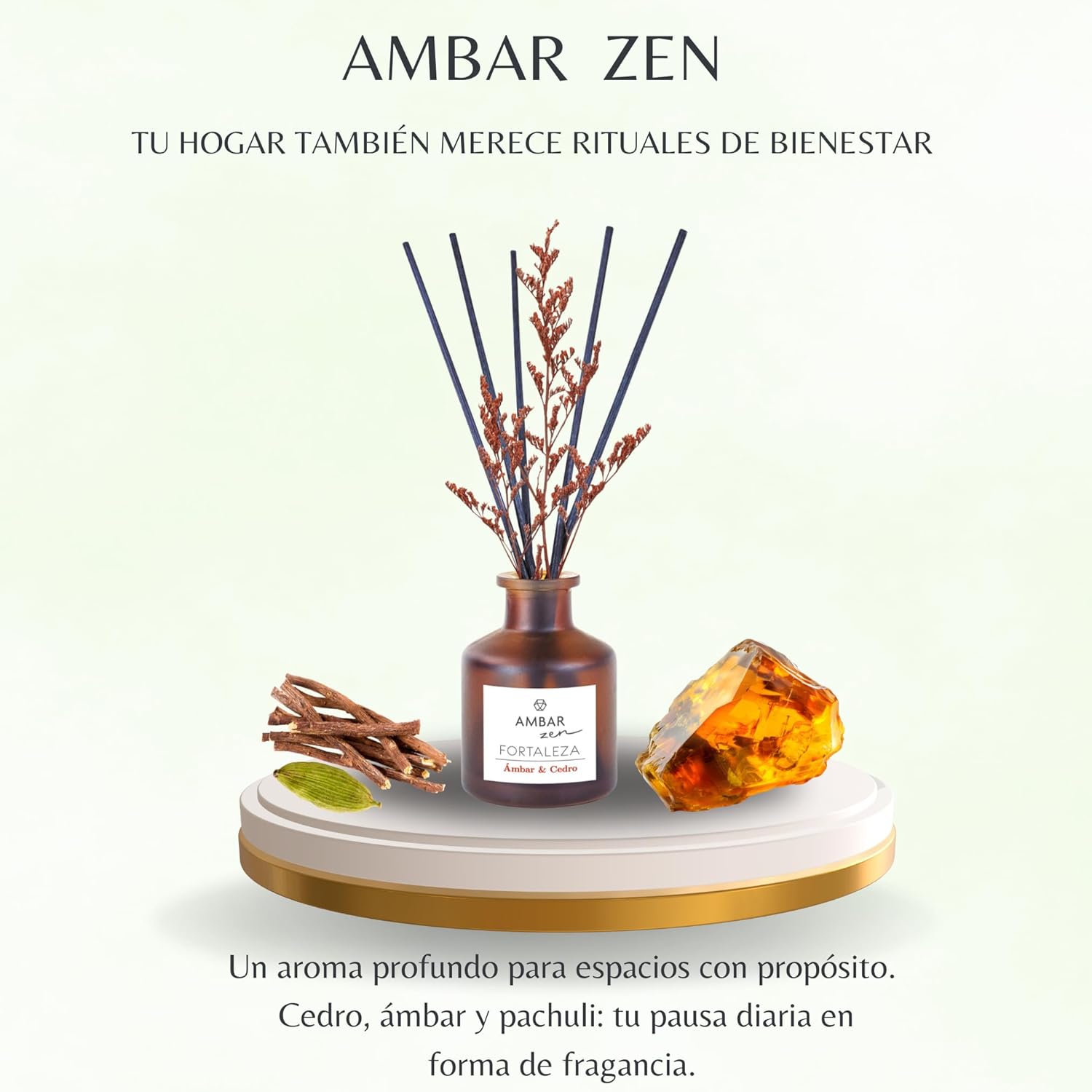 Pack de Aromatización Ámbar y Cedro