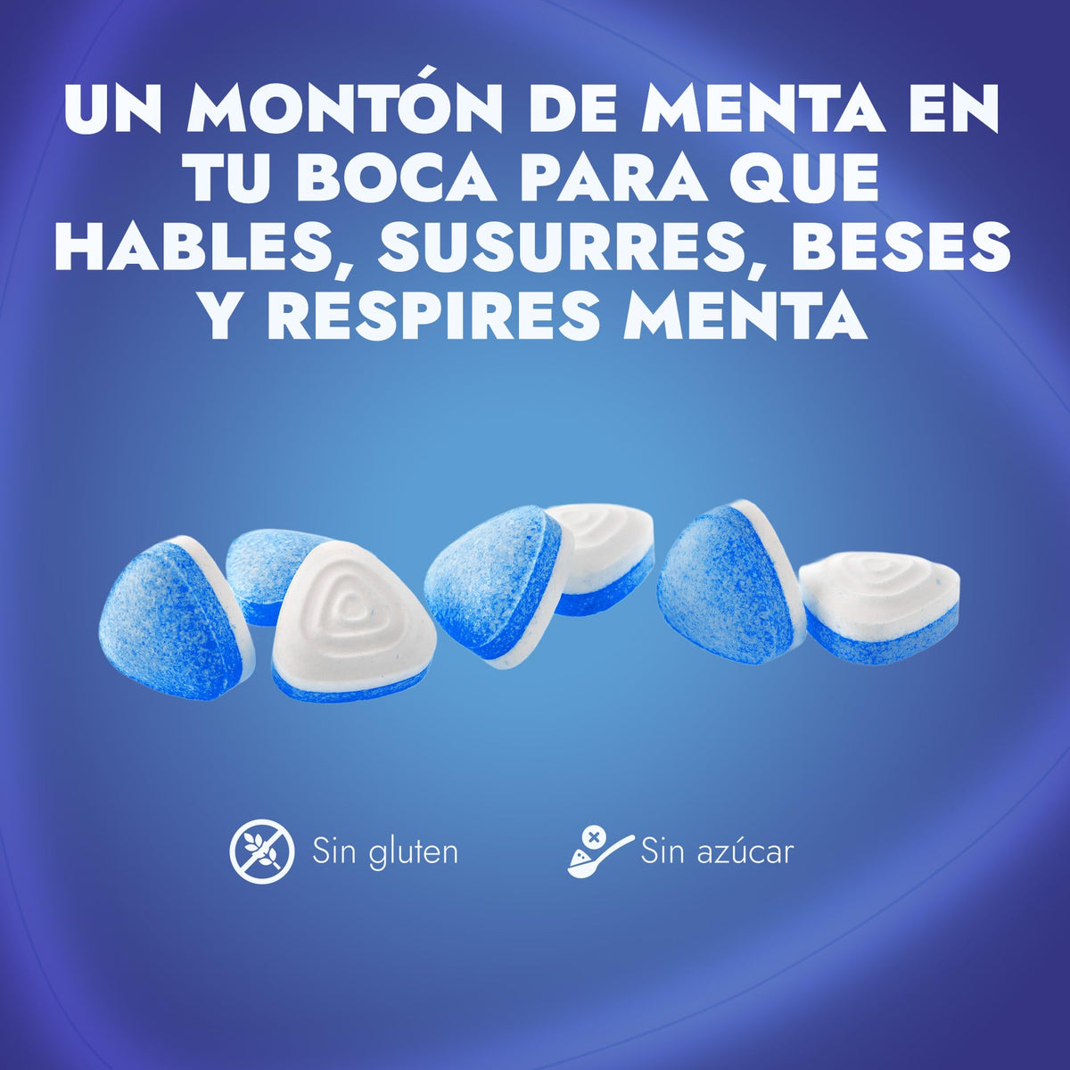 Smint Caramelos Sin Azúcar – Pack de 12 Latas, Sabores Variados